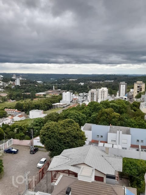 Image 13 - 273504